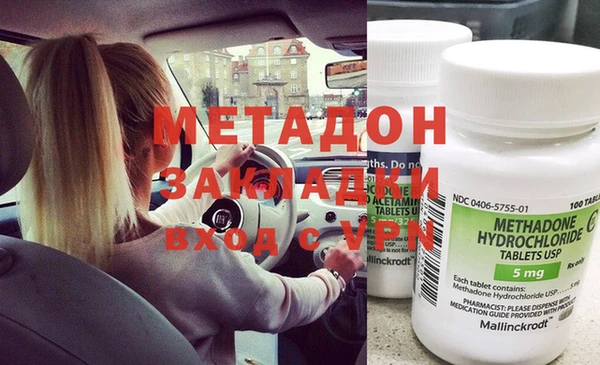 индика Богданович
