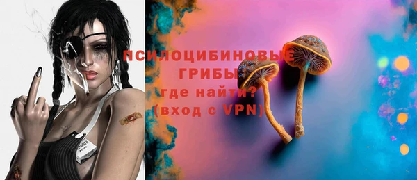 прущие крисы Осинники