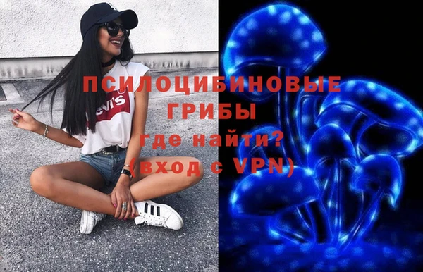 скорость Пестово